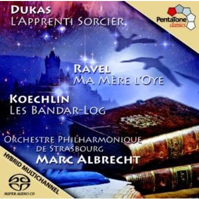 Sorcereraes Apprentice Mother