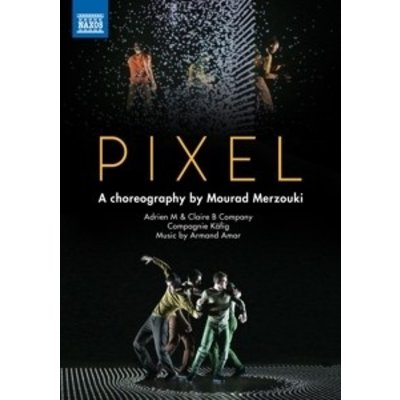Pixel