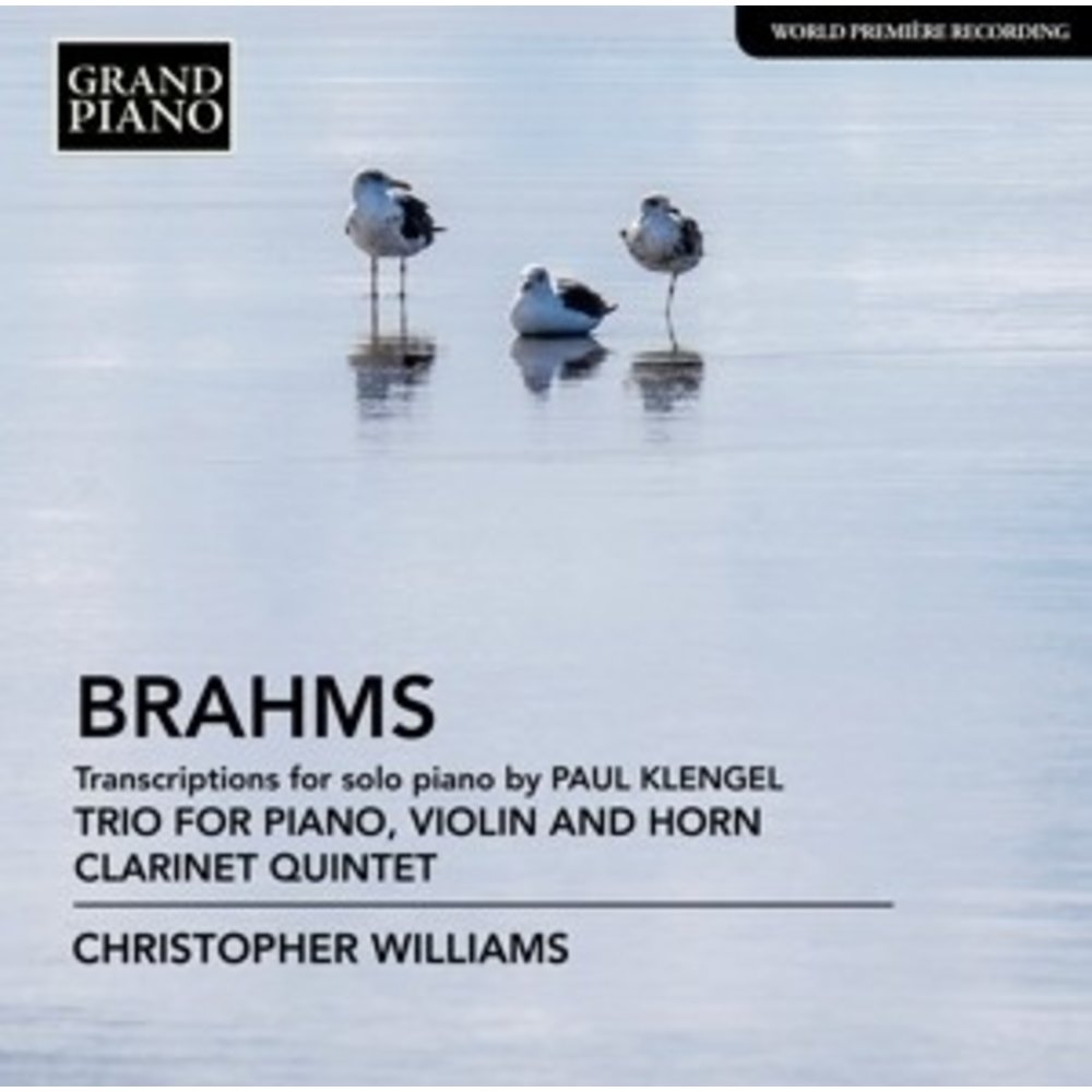 Grand Piano Trio For Piano, Violin And Horn - C