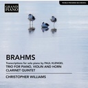 Grand Piano Trio For Piano, Violin And Horn - C