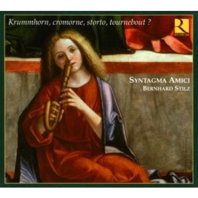 Krummhorn, Cromorne, Storto, Tournebout?