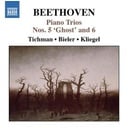 Naxos Beethoven: Piano Trios . 1