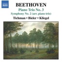 Naxos Beethoven: Piano Trios 3