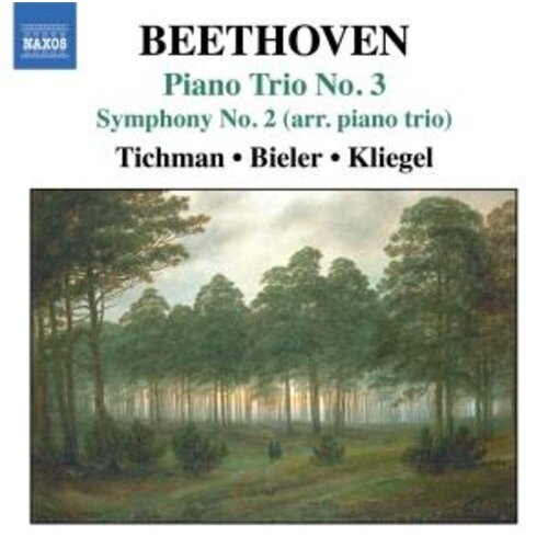 Naxos Beethoven: Piano Trios 3