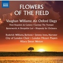 Naxos Flowers Of The Field