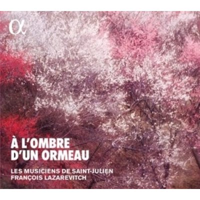 A L'ombre D'un Ormeau : Brunettes E