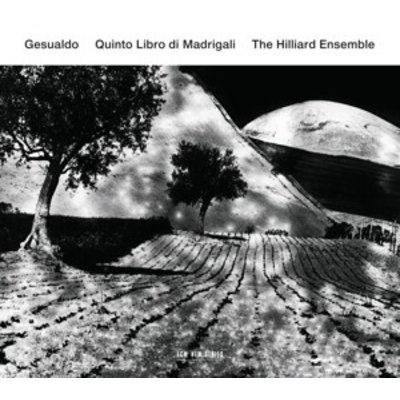 Gesualdo - Quinto Libro Di Madrigali