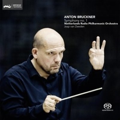 Symphony No. 1 In C Minor