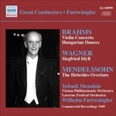 Brahms: Violinkonzert/Furtwangler