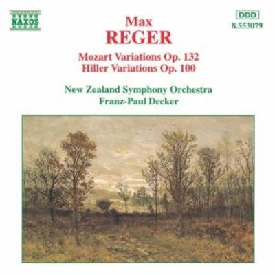 Reger: Mozart Variations Etc.