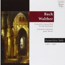 Bach, Walther: Concertos Trans