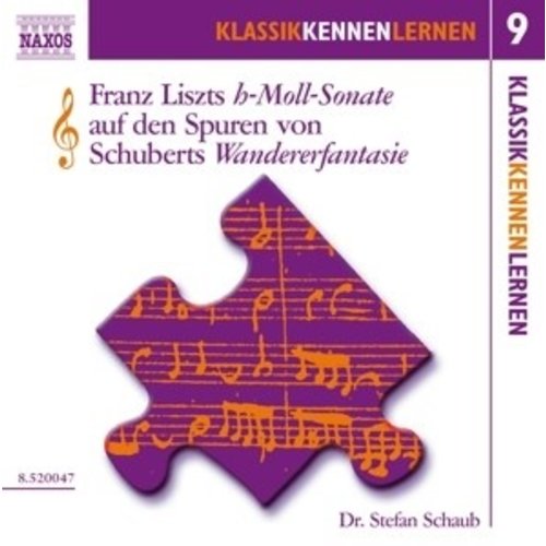 Naxos Schaub:die H-Moll-Sonate Vol.9