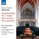 Naxos Bossi: Organ Music