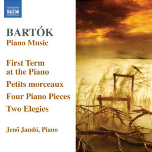 Naxos Bartok: Piano Music 6