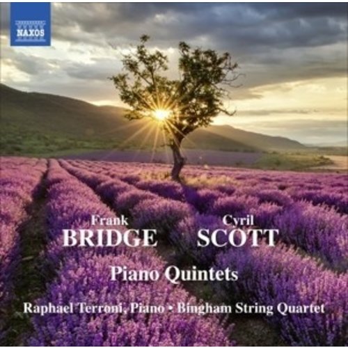 Naxos Bridge-Scott