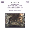 Naxos Bach J. S.: Trio Sonatas 4-6