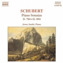 Naxos Schubert: Piano Son. D784&D894