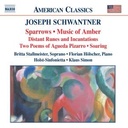 Naxos Schwantner: Chamber Music