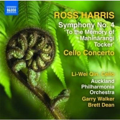 Symphony No. 4, Cello Concerto