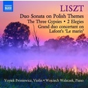 Naxos Duo Sonata On Polish Themes