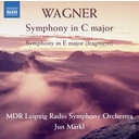 Naxos Symphony In C Major - Symphony In E Major (Fragmen
