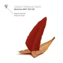 Phi Bach: Motetten Bwv 225-230 (2LP)