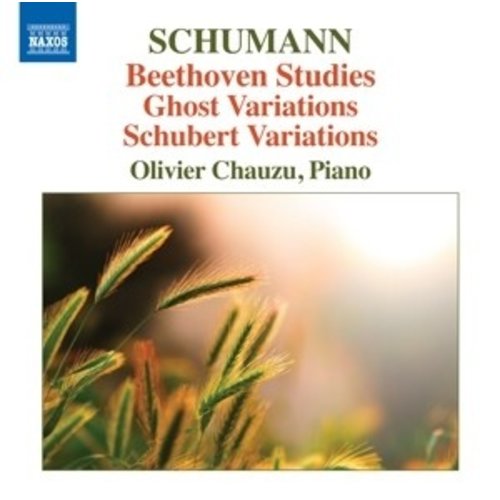 Naxos Beethoven Studies/Ghost Variations