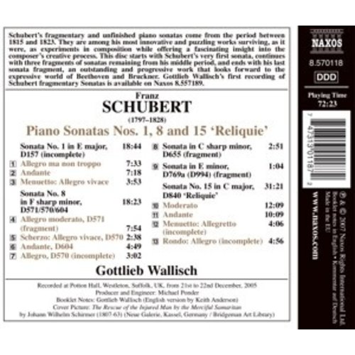 Naxos Schubert: Unfinished Sonatas