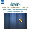 Naxos Pizzetti: Piano Trio