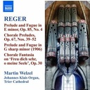 Naxos Reger: Organ Works Vol.10