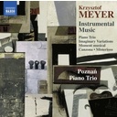 Naxos Krzysztof Meyer: Instrumental Music