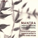 BIS Mantra -Music For Sinfonietta