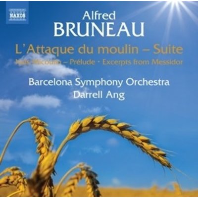 L'attaque Du Moulin - Suite . Nais