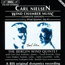 BIS Nielsen - Wind Chamber