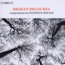 BIS Hough: Broken Branches