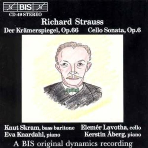 BIS Strauss - Kramerspiegel