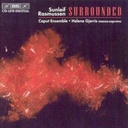 BIS Rasmussen - Surrounded