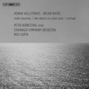 BIS Violin Concertos - Like Objects In A Dark Room - P