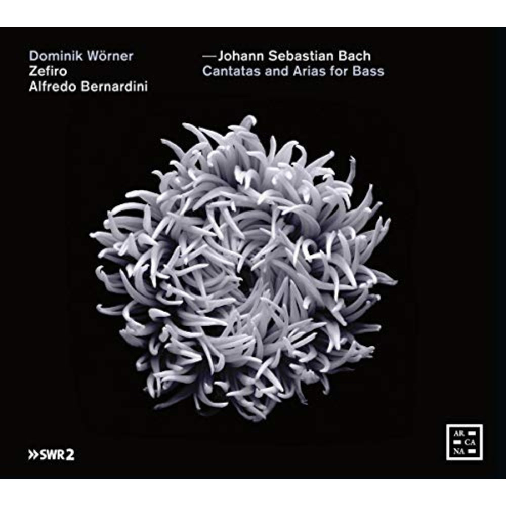 Cantatas And Arias For Bass