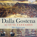 Brilliant Classics Dalla Gostena: 25 Lute Fantasies
