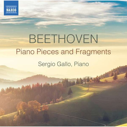 Naxos BEETHOVEN: Piano Pieces And Fragments