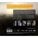 Firenze 1350: A Medieval Florentine Garden