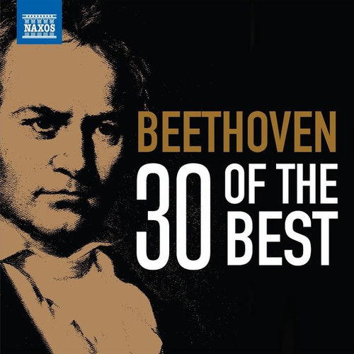 Naxos 30 Of The Best (3CD)