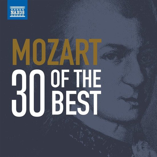 Naxos 30 Of The Best (2CD)