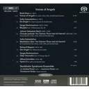 BIS Voices of Angels - Chamber Works