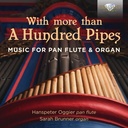 Brilliant Classics With More than a Hundred Pipes: Music for Pan Flute & Organ