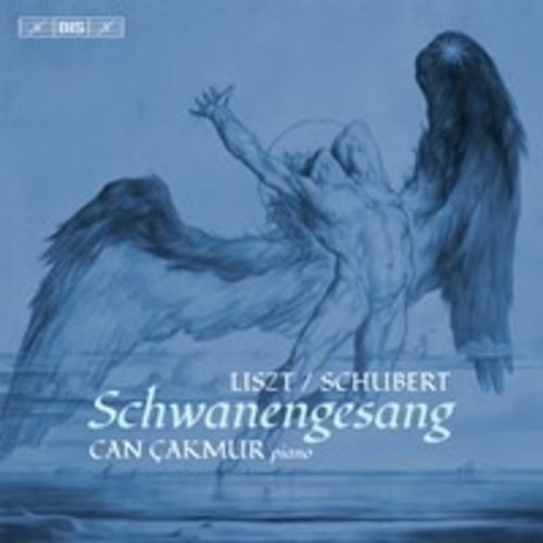 BIS Liszt: Schubert- Schwanengesang - Valses Oubliées