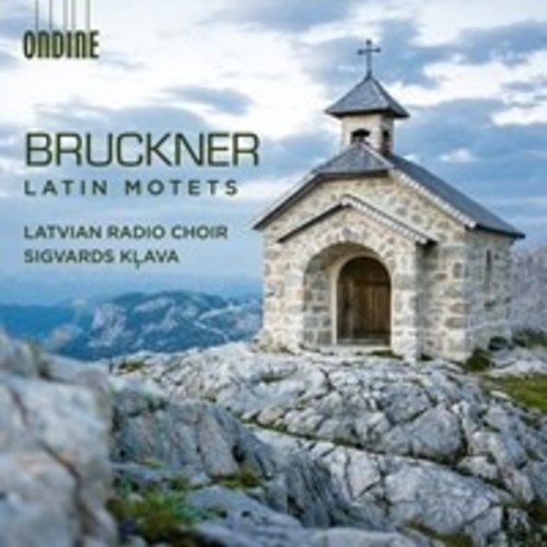 Ondine Bruckner: Latin Motels