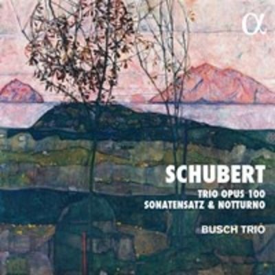 Schubert: Trio Opus 100 Sonatensatz & Notturno