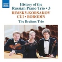 Naxos History of the Russian Piano Trio, Vol.3